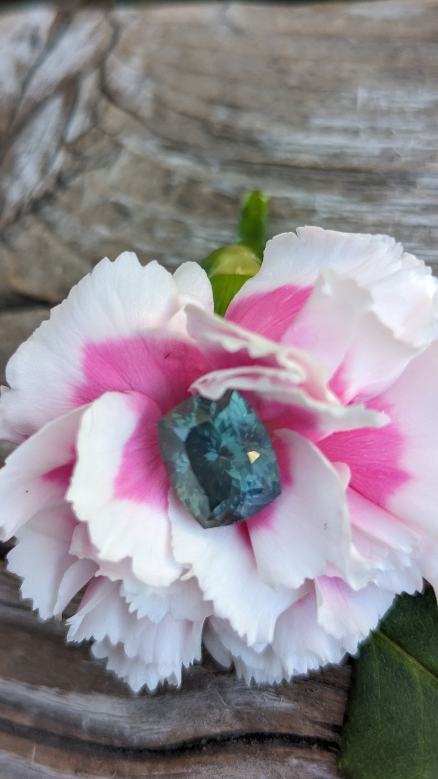 6.6ct Malawi Sapphire