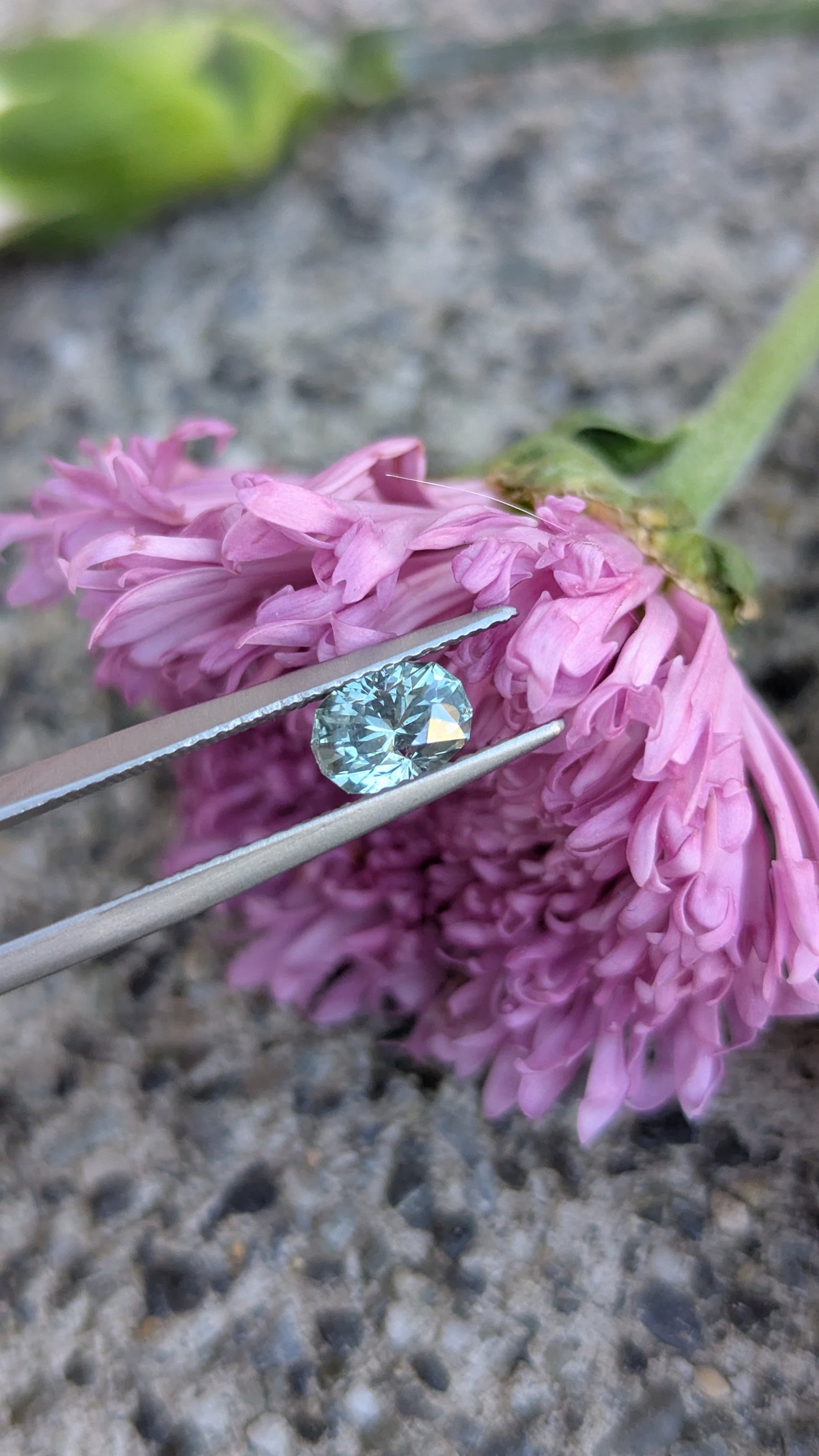 1.22ct Montana Sapphire