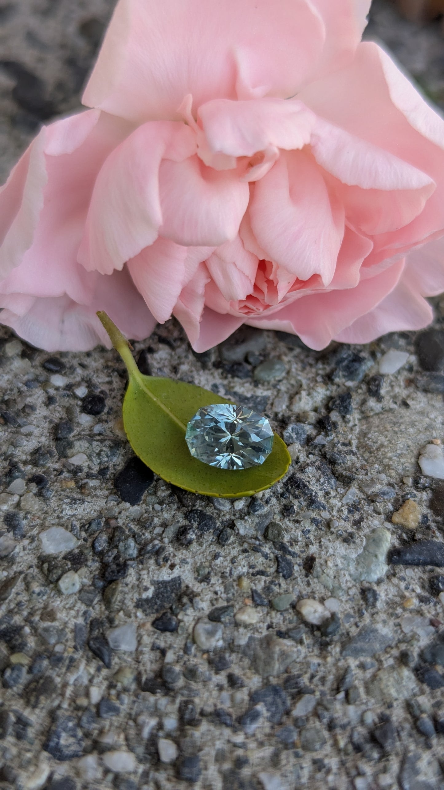 Oval 1.63ct Montana Sapphire