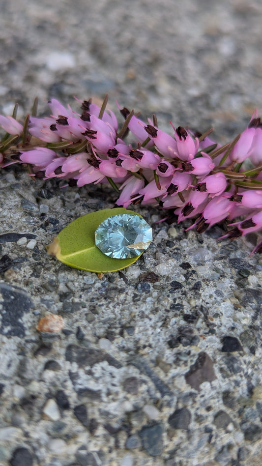 Oval 1.63ct Montana Sapphire